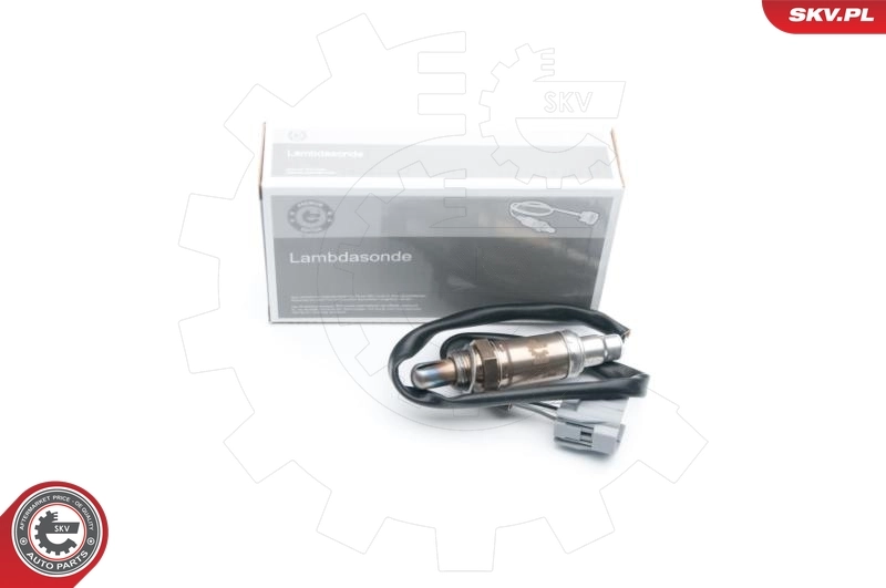 Oxygen Sensor